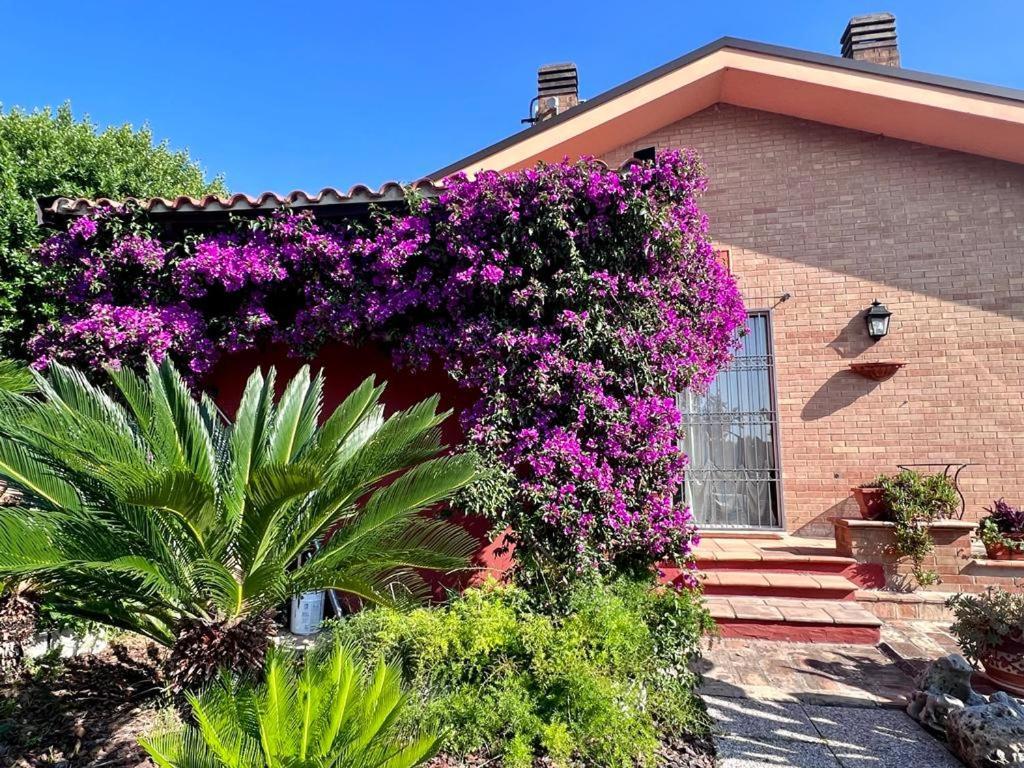 B&B La Casa Di Era Porto San Giorgio Eksteriør billede